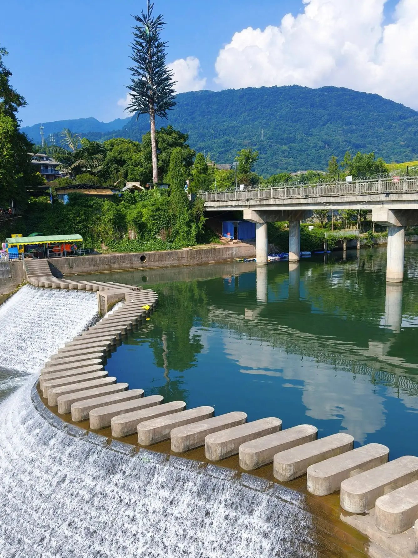 峨眉山千年禅意文化体验_峨眉山旅游攻略2026_峨眉山金顶佛光祈福