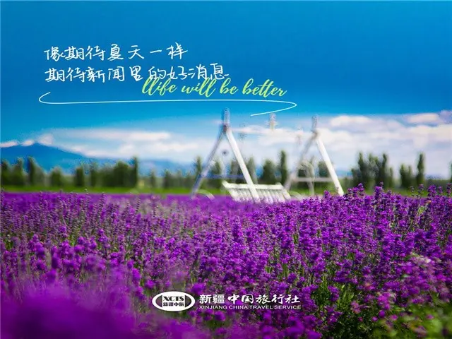 伊犁跟团游方式选择_伊犁旅游攻略_伊犁自由行旅游攻略指南