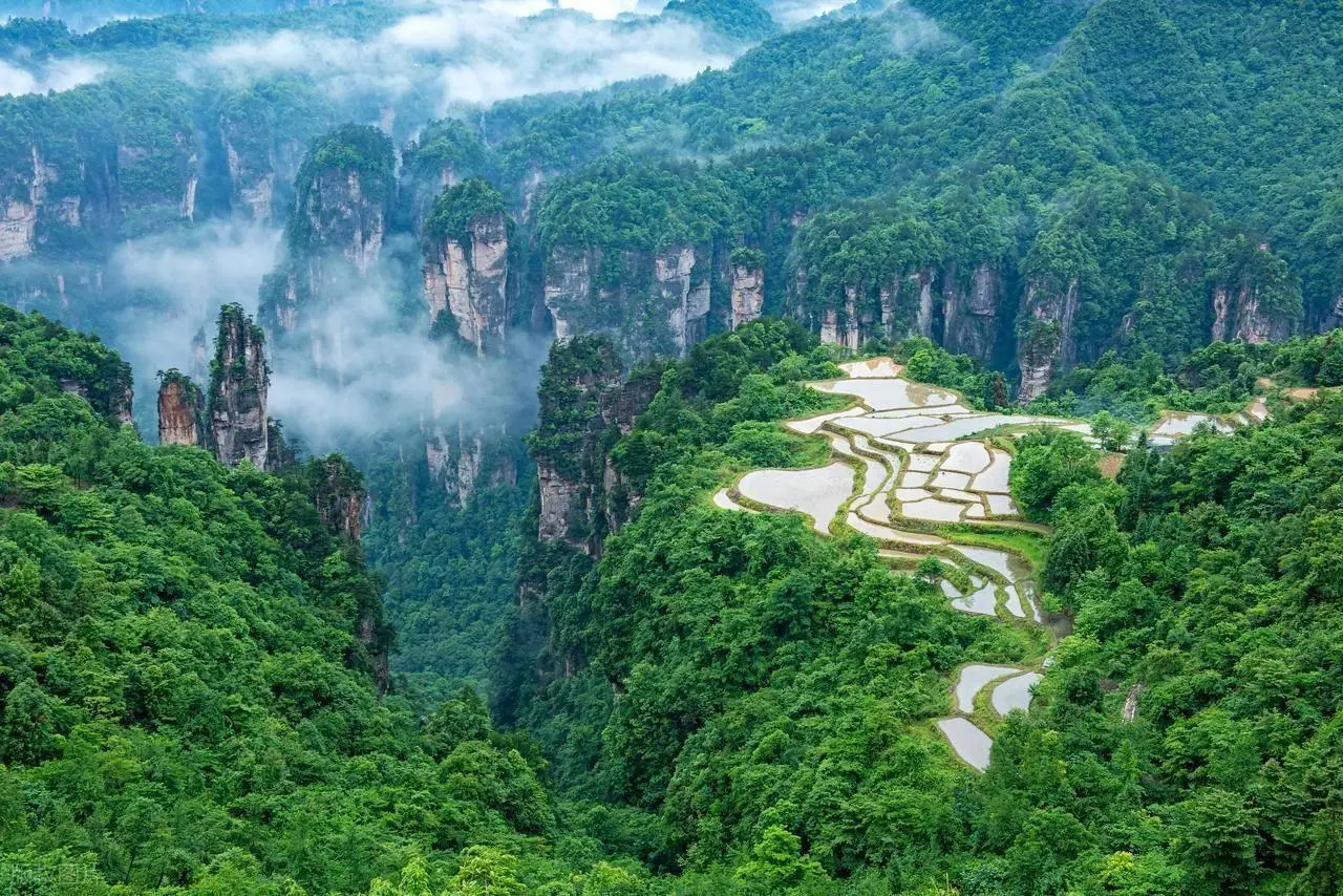湖南旅游景点推荐_湖南景区旅游攻略_张家界国家森林公园攻略