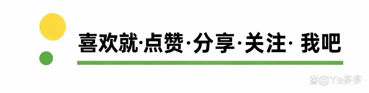 梅州旅游自助攻略_梅州客家围龙屋深度游攻略_世界客都文化体验