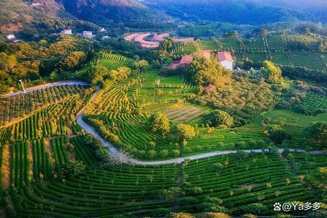 世界客都文化体验_梅州旅游自助攻略_梅州客家围龙屋深度游攻略