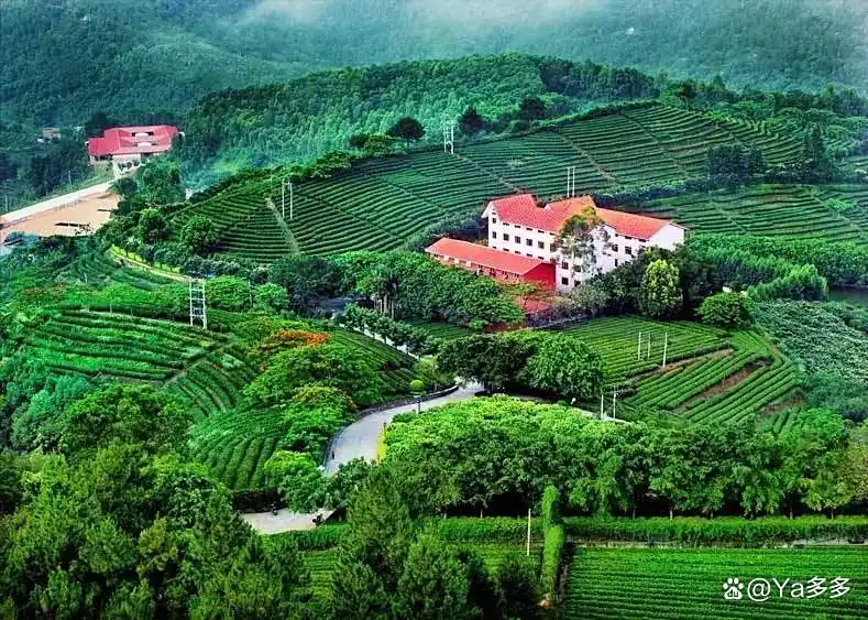 梅州客家围龙屋深度游攻略_梅州旅游自助攻略_世界客都文化体验