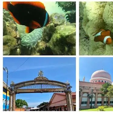 亚庇市区旅游攻略_亚庇美食推荐_亚庇旅行攻略
