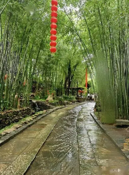 临沂大峡谷旅游攻略_蒙山云蒙景区_临沂旅游必去景点