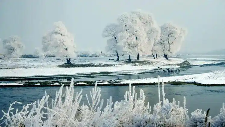 吉林市雾凇岛旅游攻略_阿什哈达雾凇景观_吉林雾凇观赏攻略