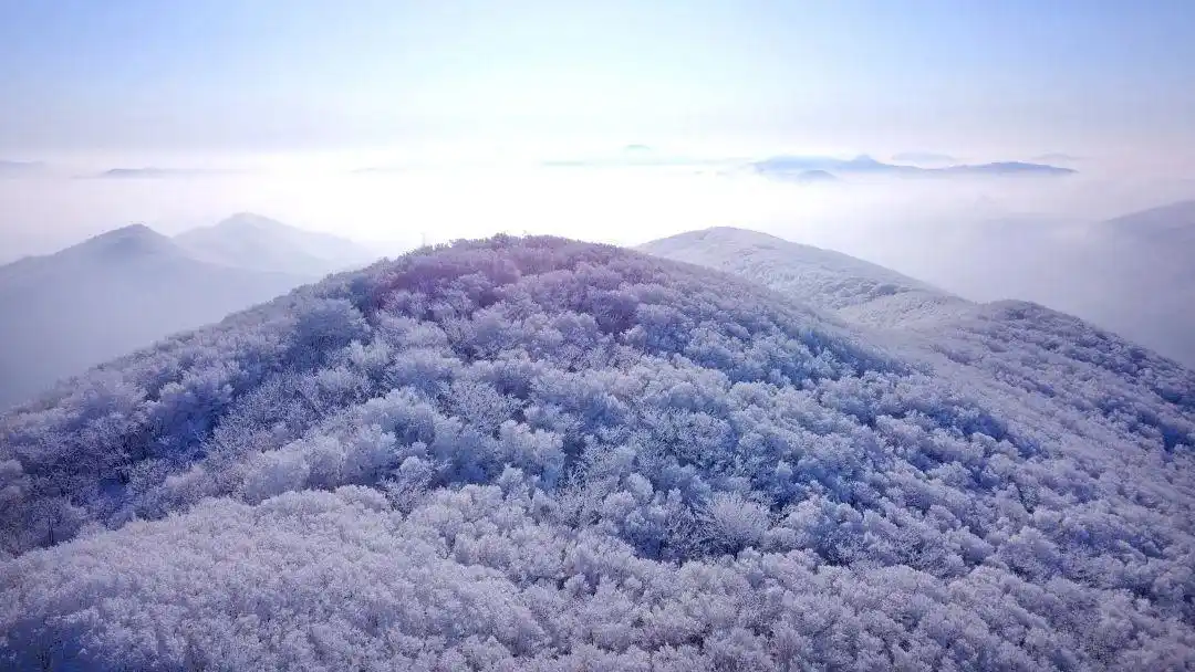 吉林市雾凇岛旅游攻略_吉林雾凇观赏攻略_阿什哈达雾凇景观