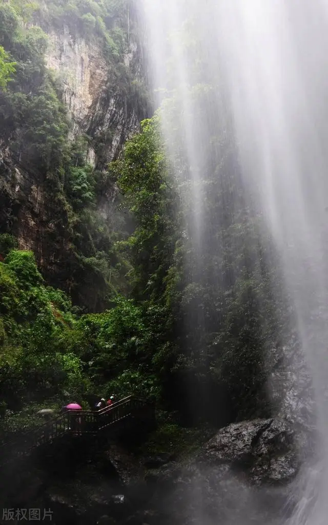 武隆仙女山旅游攻略_仙女山国家森林公园_武隆天生三桥