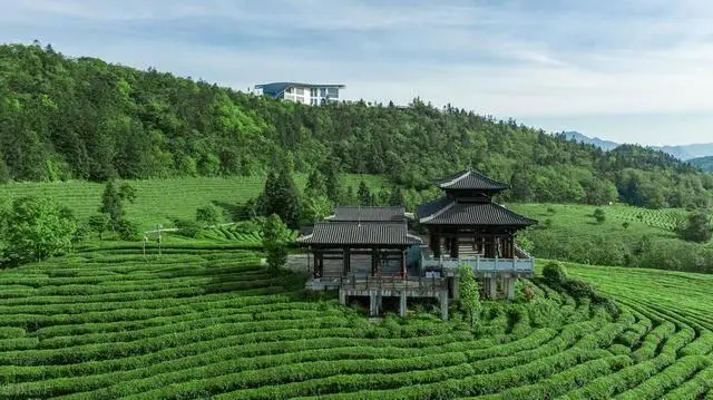 武隆仙女山旅游攻略_武隆天生三桥_仙女山国家森林公园