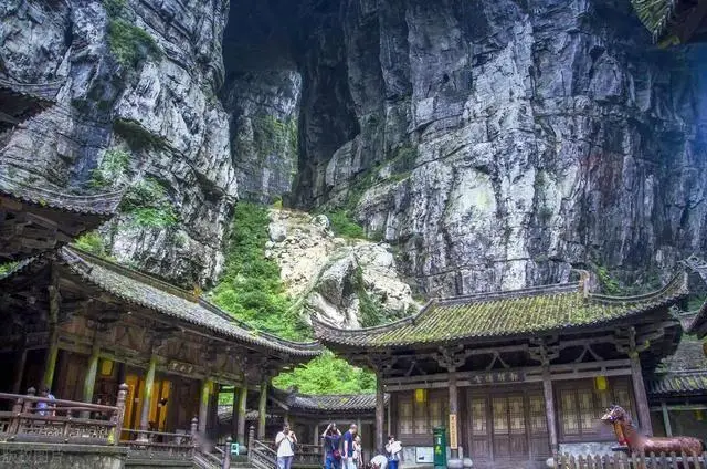 武隆仙女山旅游攻略_仙女山国家森林公园_武隆天生三桥
