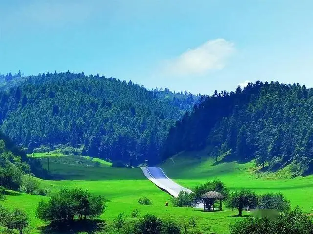武隆仙女山旅游攻略_仙女山国家森林公园_武隆天生三桥