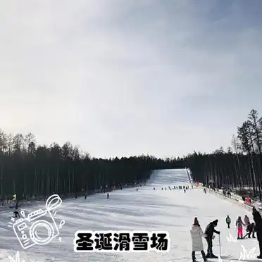 <strong>漠河找北三日游</strong>_大兴安岭原始森林旅游攻略_漠河旅游攻略
