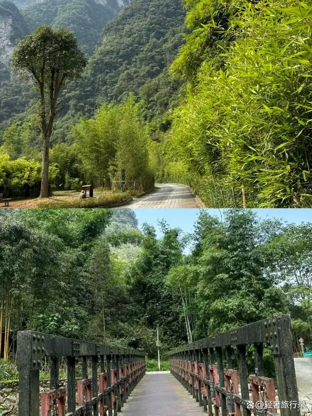 三峡竹海攻略_三峡景区旅游攻略_避暑拍照好去处