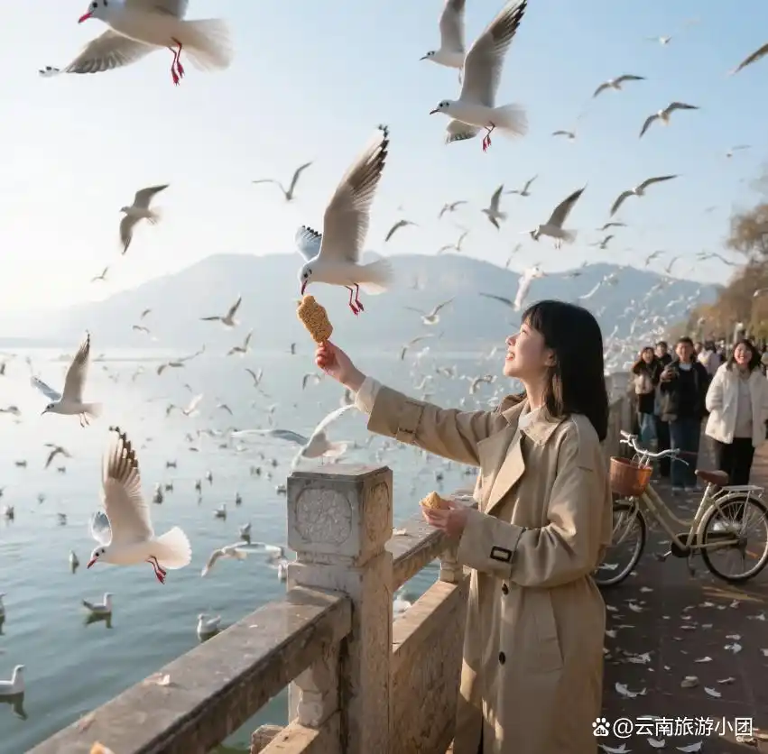 云南旅游深度攻略_昆大丽自由行旅游攻略_避开打卡式旅游体验治愈风花雪月