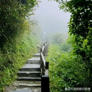 铜仁地区2日游攻略_梵净山云舍景区旅游攻略_贵州铜仁旅游攻略