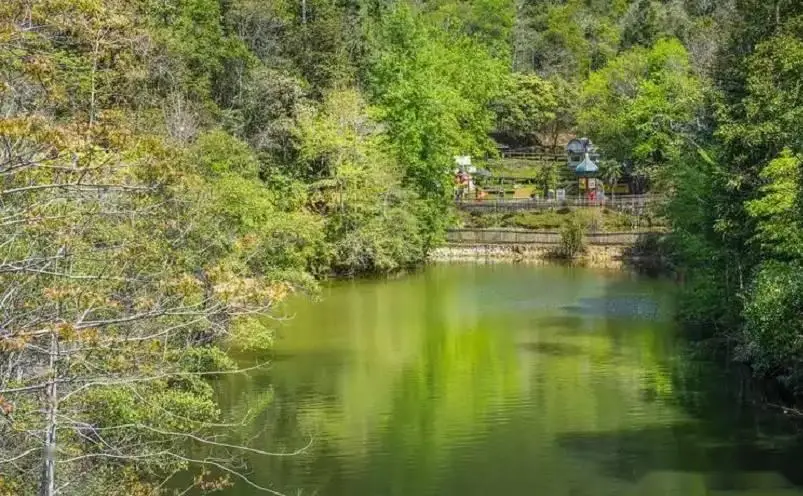 龙岩十大必玩景点_龙岩旅游攻略自驾_冠豸山旅游攻略