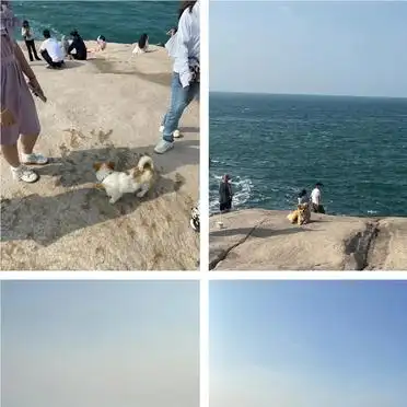 东极岛两天一夜攻略_东福山民宿住宿推荐_2026东极岛旅游攻略