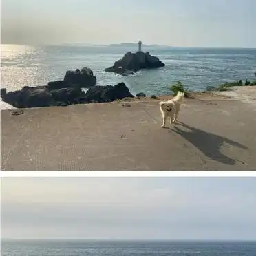 2026东极岛旅游攻略_东福山民宿住宿推荐_东极岛两天一夜攻略