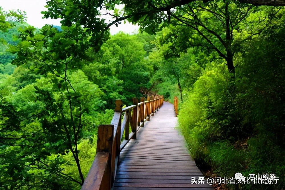 驼梁旅游体验_驼梁避暑攻略_五台山驼梁旅游攻略