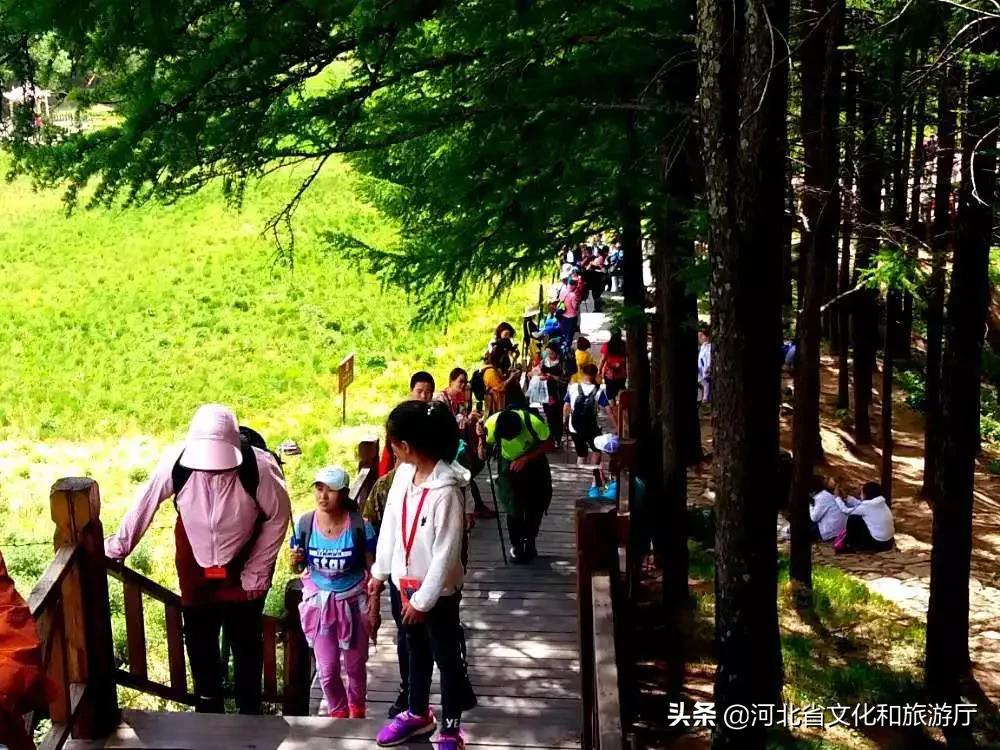 驼梁旅游体验_驼梁避暑攻略_五台山驼梁旅游攻略