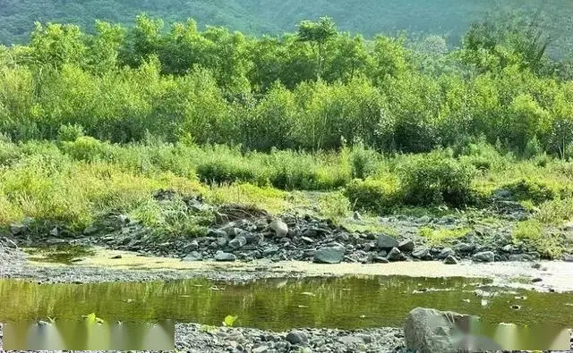 绵阳10月旅游攻略_窦圌山旅游攻略_绵阳十大必玩景点