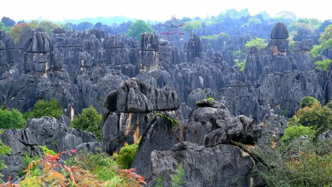 石林九乡旅游攻略_云南石林九乡联游优惠_宜良石林九乡景区联动福利