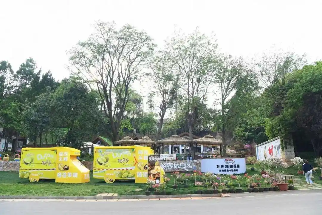 云南石林九乡联游优惠_宜良石林九乡景区联动福利_石林九乡旅游攻略
