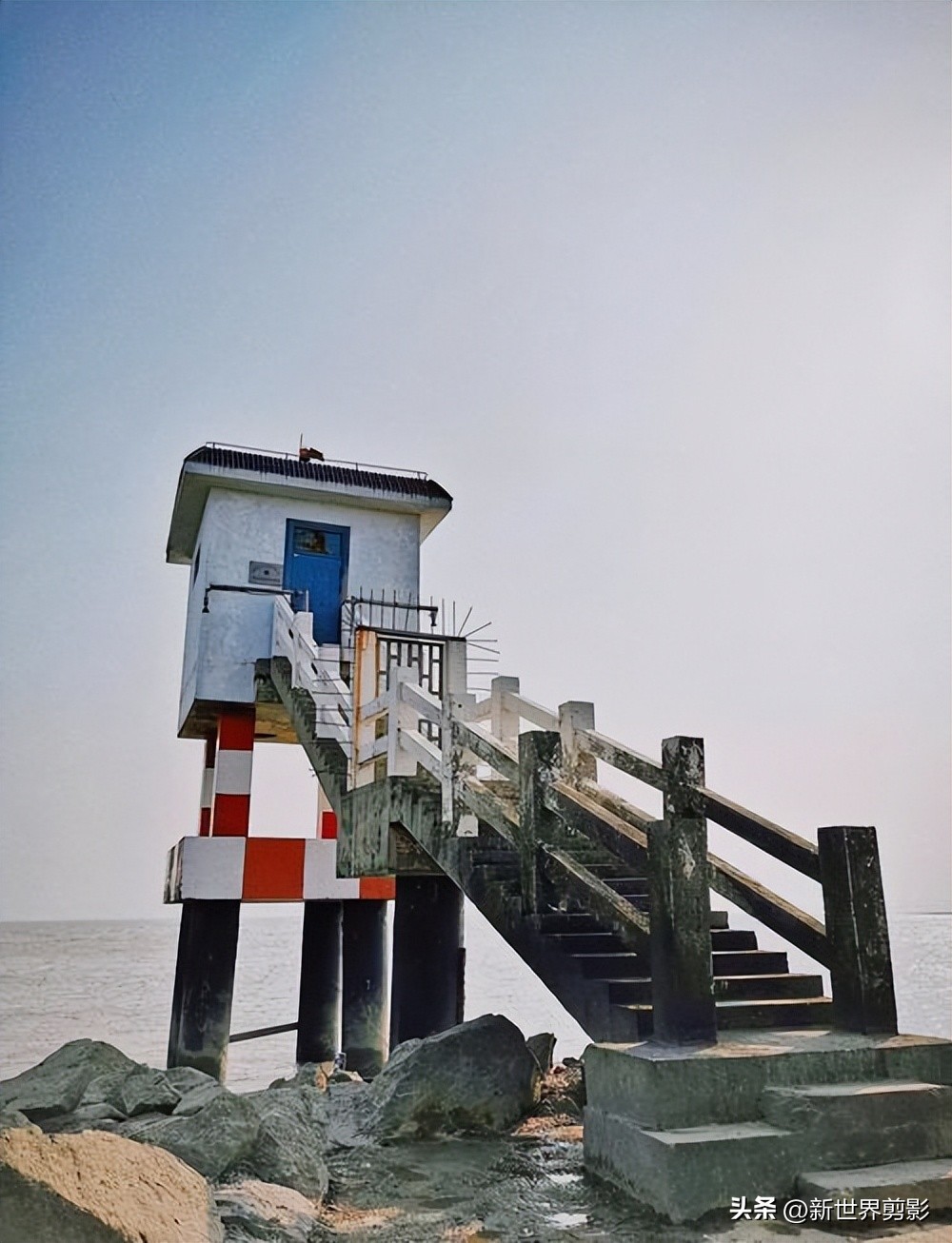 横沙岛油菜花田拍照_横沙岛旅游攻略_横沙岛旅游攻略