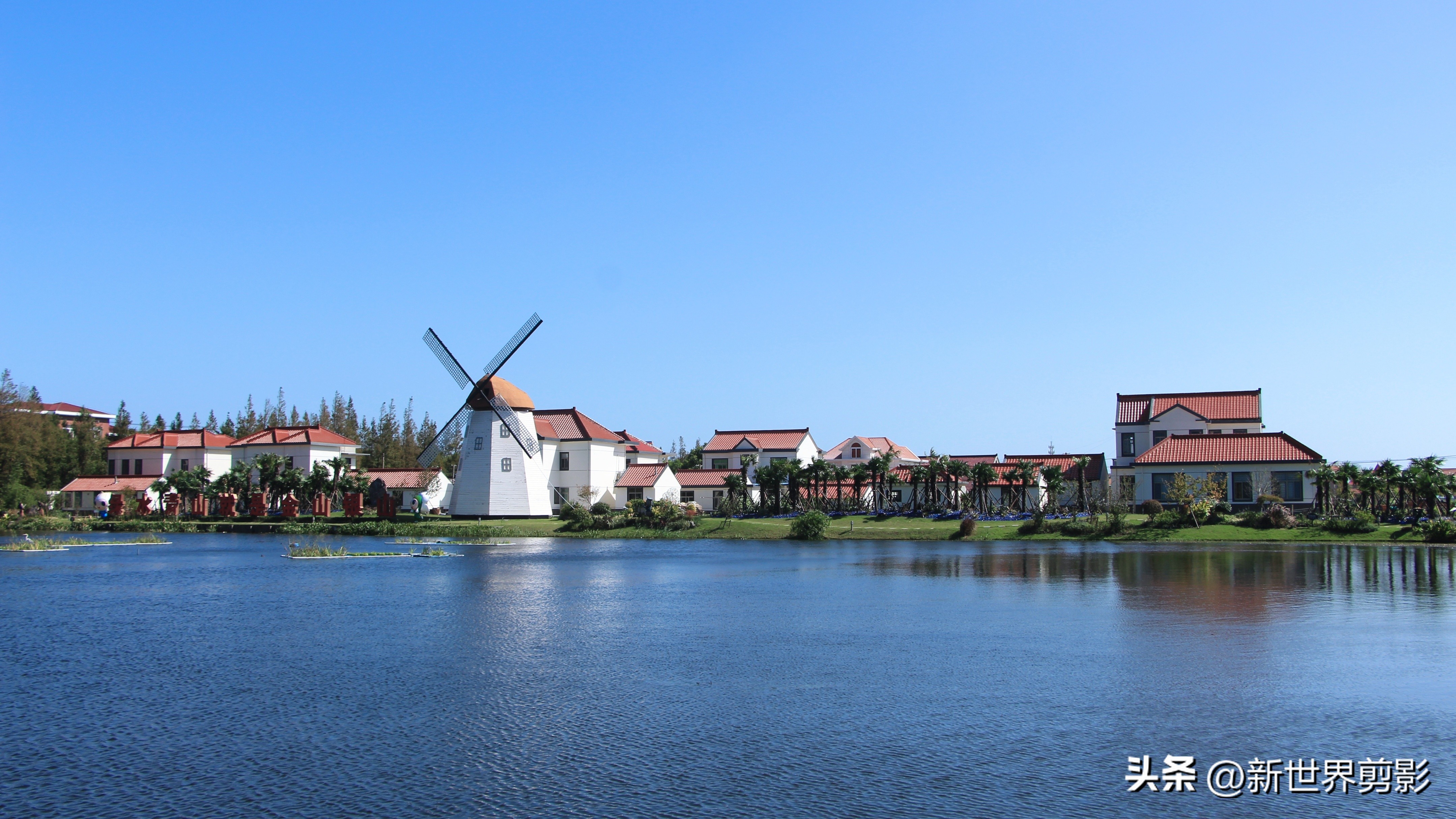 横沙岛旅游攻略_横沙岛旅游攻略_横沙岛油菜花田拍照