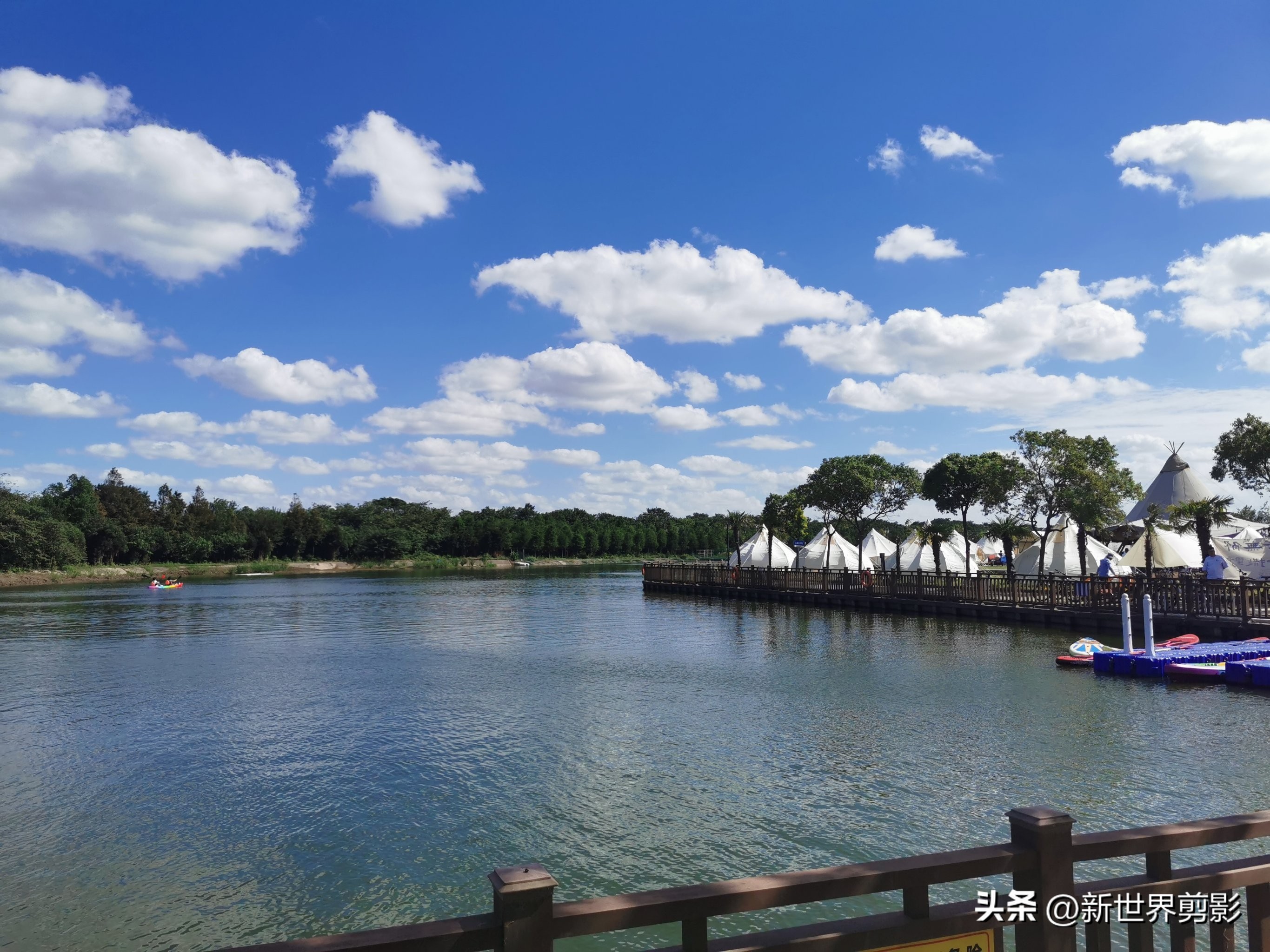 横沙岛旅游攻略_横沙岛旅游攻略_横沙岛油菜花田拍照