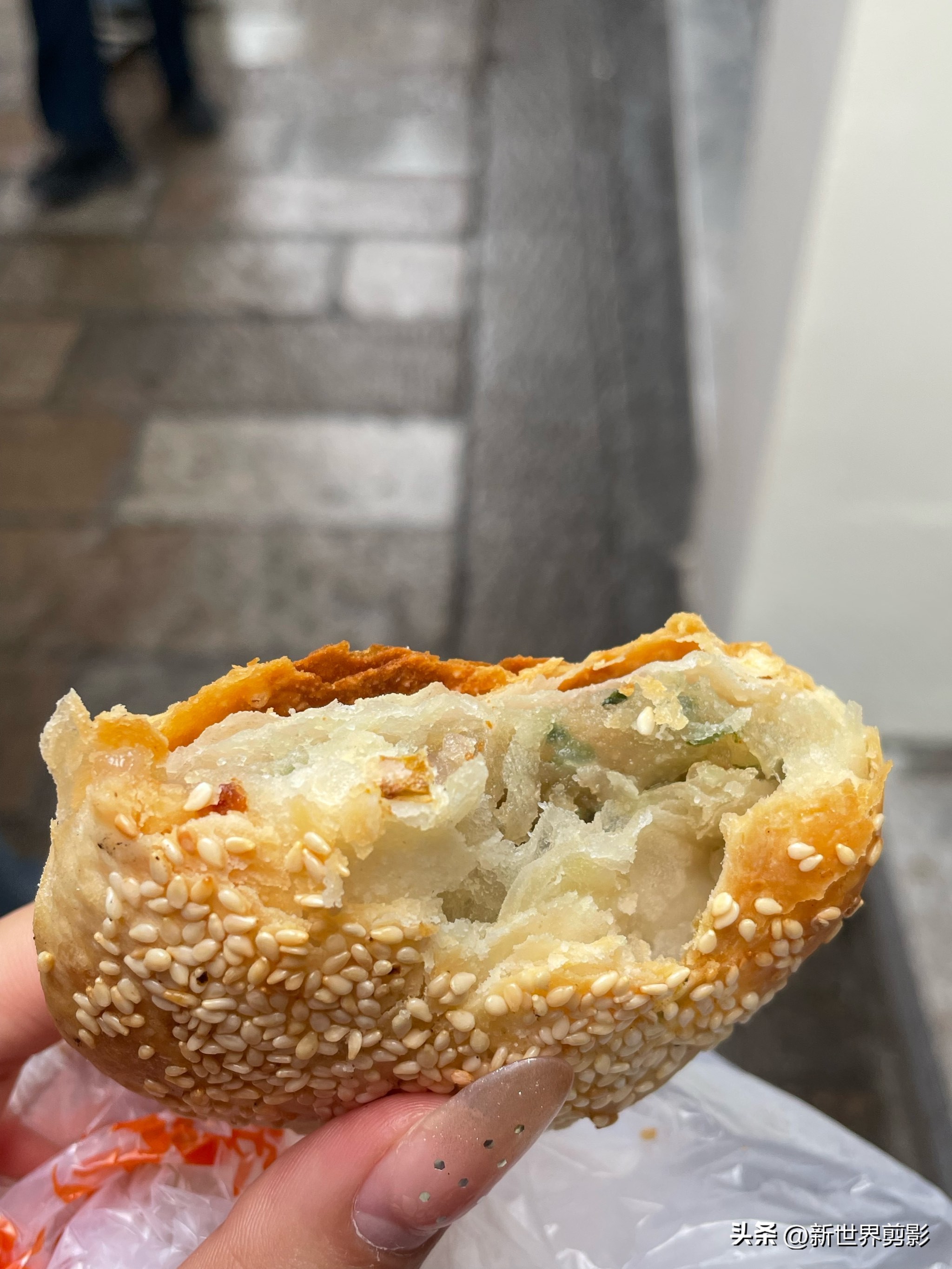横沙岛旅游攻略_横沙岛旅游攻略_横沙岛油菜花田拍照