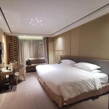 迪士尼一日游攻略_北京到上海迪士尼乐园旅游攻略_上海迪士尼早享卡