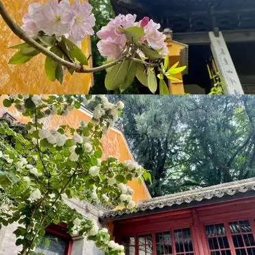 浙江天台山两天一夜游玩攻略_治愈心灵之旅_浙江天台旅游攻略