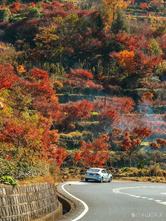 宁波四明山2天1晚预算1000元_四明山旅游攻略_宁波四明山旅游攻略