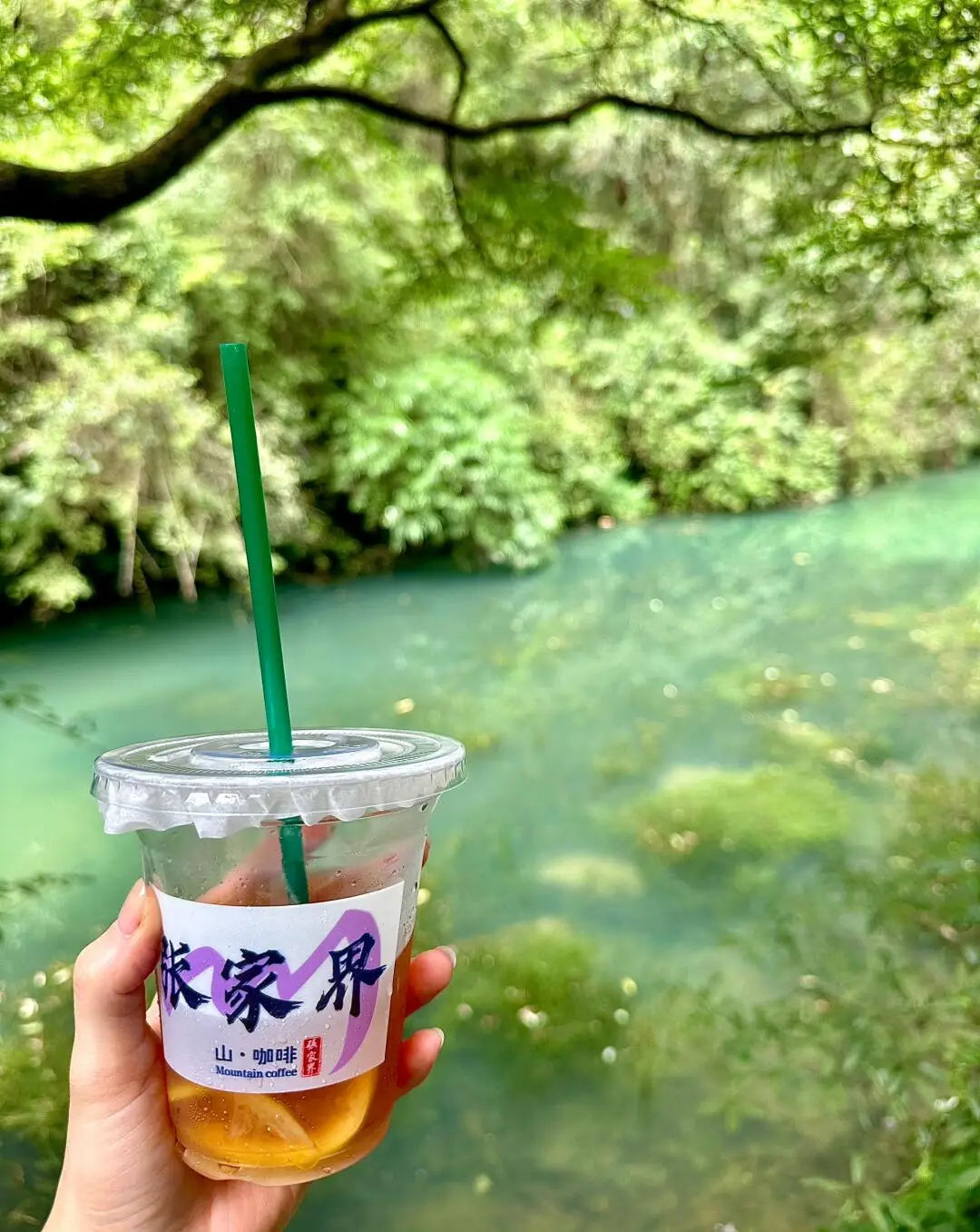 张家界冬季雪景景点推荐_张家界冬季旅游攻略_张家口冬天旅游攻略