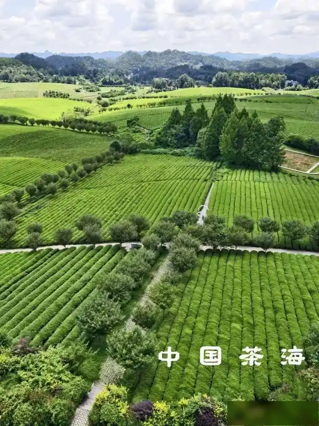 贵州赤水旅游攻略_遵义精品深度旅游线_遵义春季旅游线路