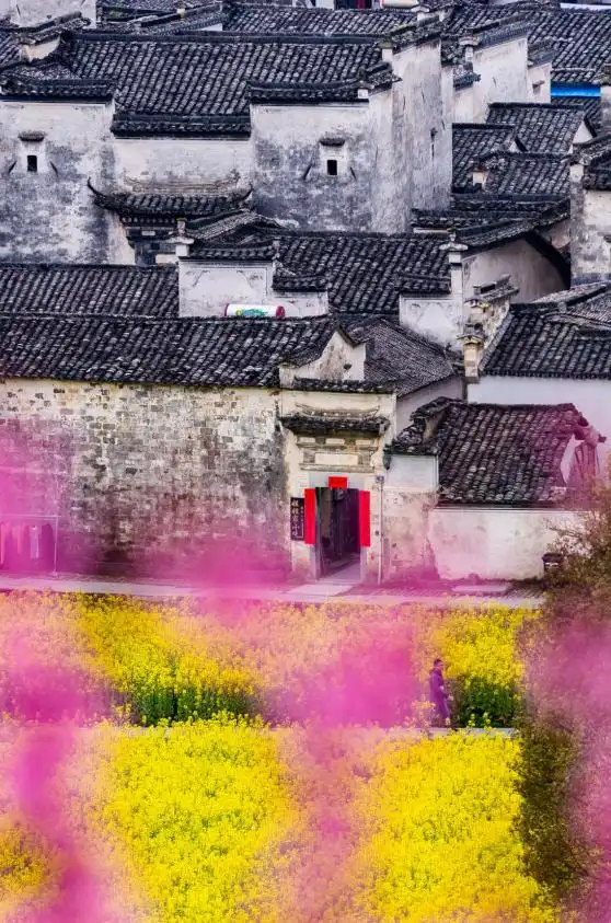 春节九江到西递宏村旅游攻略_安徽春节旅游目的地_黟县古村落群旅游攻略