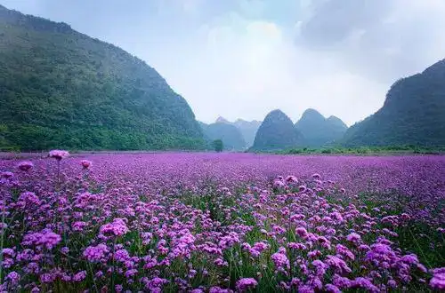 贵州赤水旅游攻略_贵州旅游攻略_贵州美食推荐