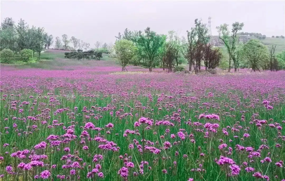 贵州赤水旅游攻略_贵州旅游攻略_贵州美食推荐