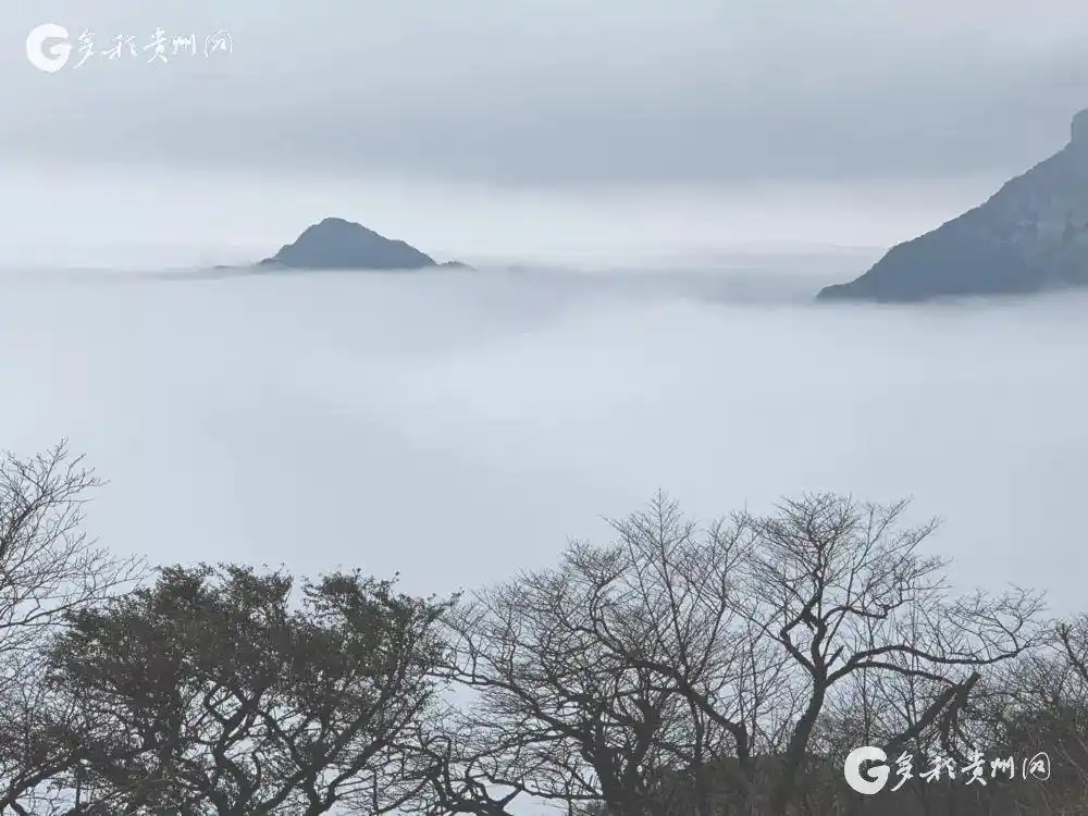 贵州赤水旅游攻略_贵州美食推荐_贵州旅游攻略