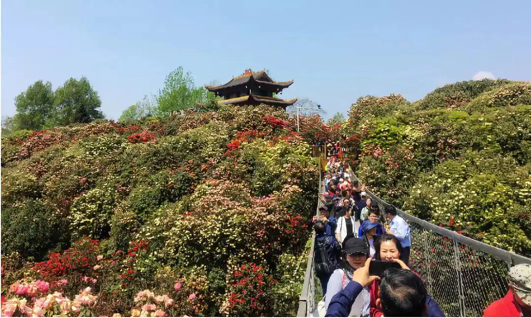 贵州赤水旅游攻略_贵州旅游攻略_贵州美食推荐