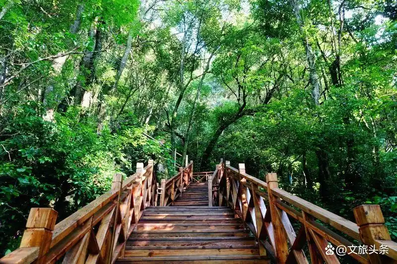 弥勒深度游攻略_东风韵艺术小镇玻璃桥_弥勒旅游攻略必去景点