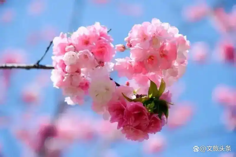 弥勒深度游攻略_东风韵艺术小镇玻璃桥_弥勒旅游攻略必去景点
