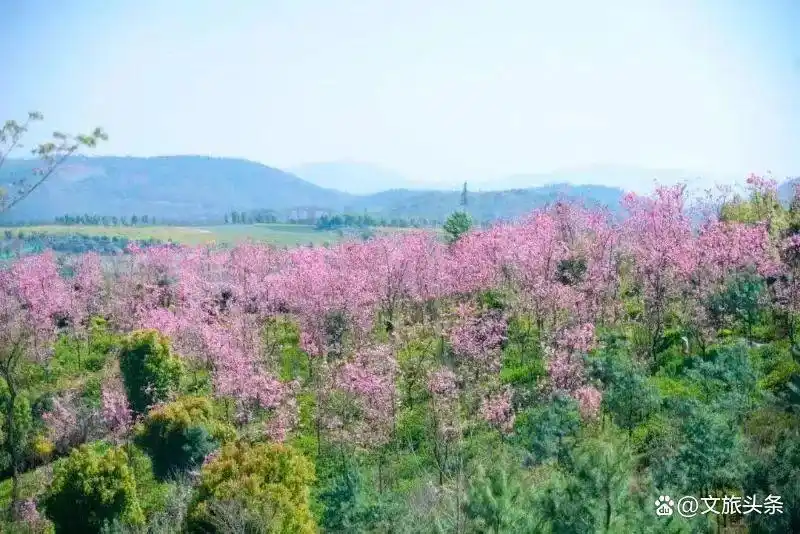 弥勒深度游攻略_东风韵艺术小镇玻璃桥_弥勒旅游攻略必去景点