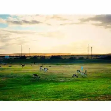 <strong>南非旅行必做清单</strong>_南非野生动物园探险_南非德班旅游攻略