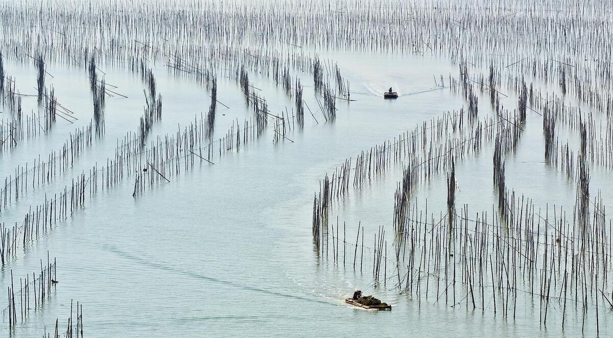 霞浦滩涂摄影胜地攻略_霞浦滨海风光旅游_霞浦旅游攻略大金沙滩