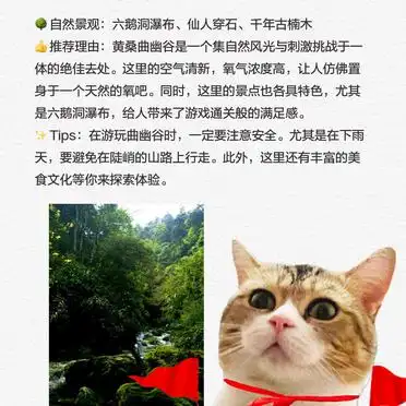 上堡古国苗族历史探秘_绥宁旅游必去景点攻略_湖南绥宁旅游攻略