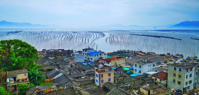 最美滩涂旅游指南_霞浦旅游攻略大金沙滩_霞浦3天2夜攻略