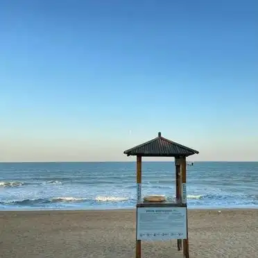 郑州日照三天两晚自由行攻略_日照灯塔万平口东夷小镇海之秀旅游路线_郑州到日照旅游攻略