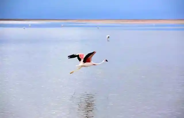 玻利维亚天空之镜旅游攻略_安第斯山脉玻利维亚旅游_乌尤尼天空之镜
