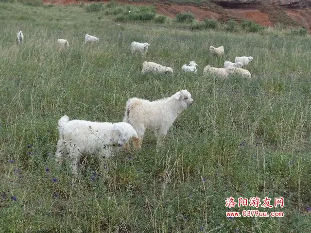 波浪谷 (12)